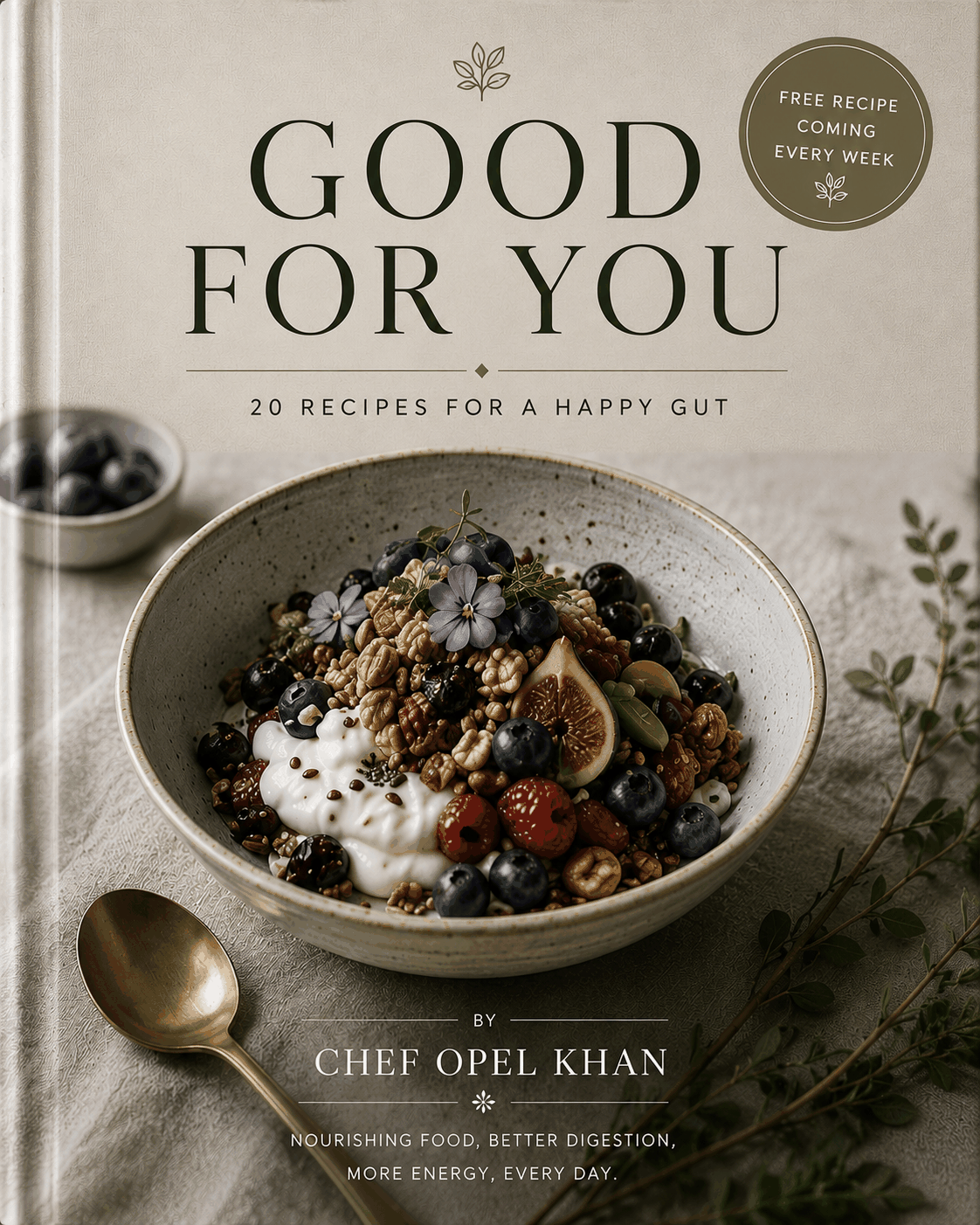 Good For You — 20 recipes for a happy gut cookbook cover